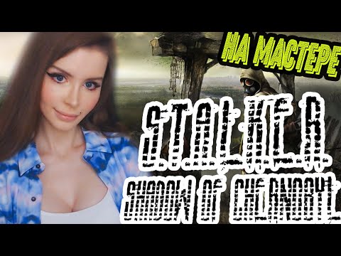 Видео: S.T.A.L.K.E.R.:Тень Чернобыля | S.T.A.L.K.E.R.: Shadow of Chernobyl | ПОЛНОЕ ПРОХОЖДЕНИЕ | СТРИМ