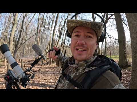 Видео: Дневник Зяблика-Натуралиста. 14.04.2024.