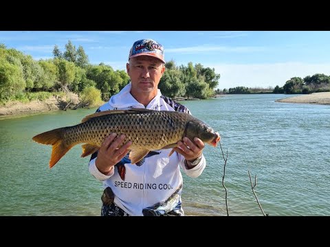 Видео: РЫБАЛКА с НОЧЁВКОЙ на САЗАНА . Низовье Каратала.
