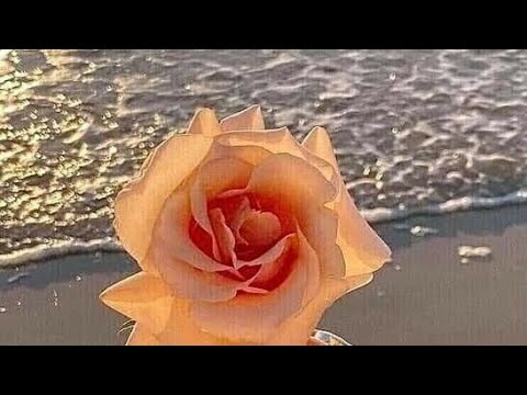 Видео: Его Мысли О Вас Сегодня ☝️