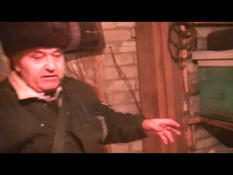 Видео: Зимовка пчёл