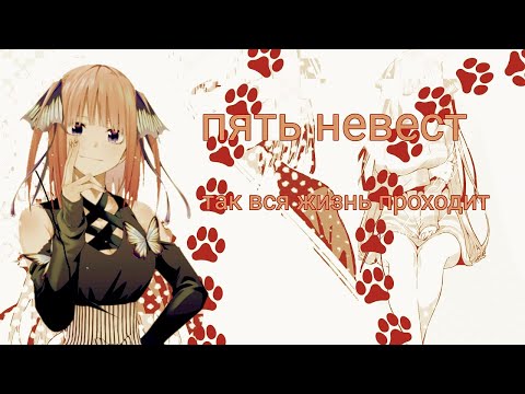 Видео: Аниме клип/Так вся жизнь проходит/Пять невест