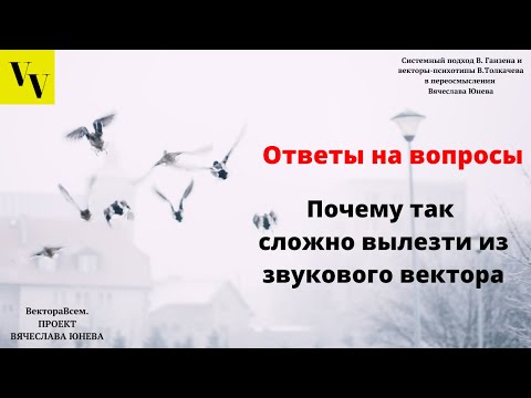 Видео: Почему так сложно вылезти из звукового вектора. ВектораВсем. Проект Вячеслава Юнева
