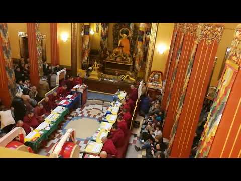 Видео: Табан Харюулга (Сагаалган 2020)