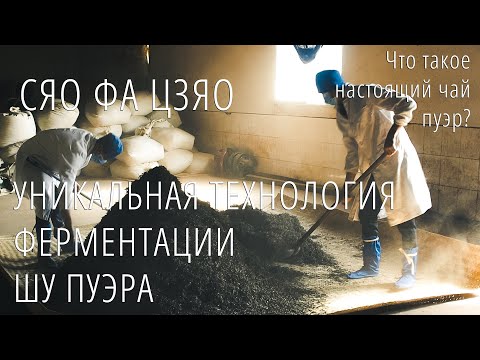 Видео: Ферментация ШУ ПУЭРА водуй. Часть 2.  СЯО ФА ЦЗЯО, ферментация в корзине. Podarkivostoka