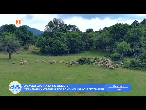 Видео: Ключово решение за българското животновъдство