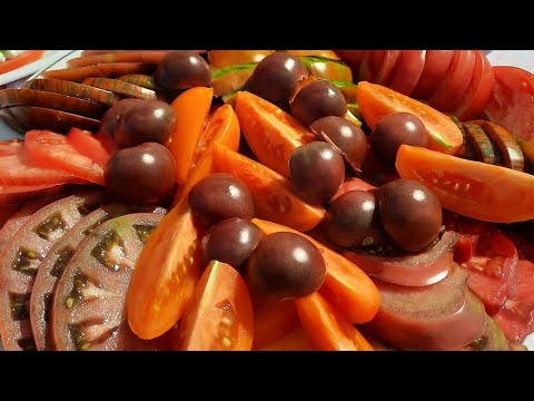 Видео: Мои любимые салатные сорта томатов. Рекомендации к выращиванию.