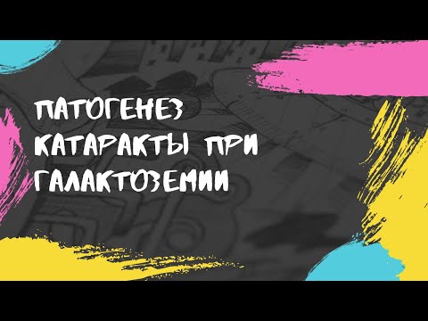 Видео: Патогенез катаракты при галактоземии. Метаболизм фруктозы и галактозы.