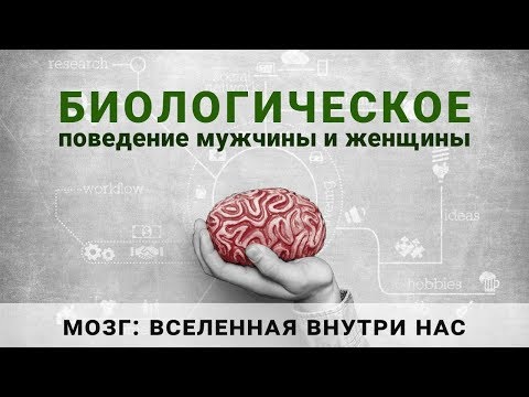 Видео: Лекция Дмитрия Жукова. Биологическое поведение мужчины и женщины