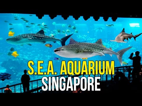 Видео: Океанариум в Сингапуре - Сентоза в Сингапуре, Океанариум S.E.A. Aquarium ☼