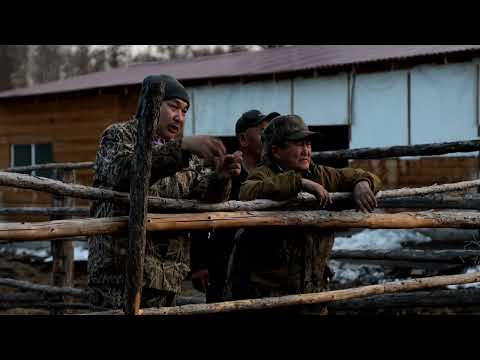 Видео: Сайылыкка кеьуу, ГКП РС (Я) «Якутский скот», Саха ына5а /Якутская корова