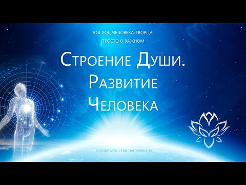 Видео: Строение Души.  Развитие человека