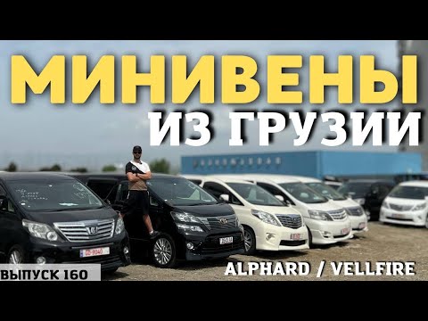 Видео: Минивэны из Грузии. АЛЬФАРДЫ. Тойота Альфард. Alphard. Vellfire. Master Vadya.