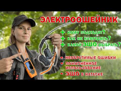 Видео: Как использовать электроошейник? / How to use an electric collar?