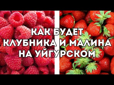 Видео: Клубника и Малина на Уйгурском Языке