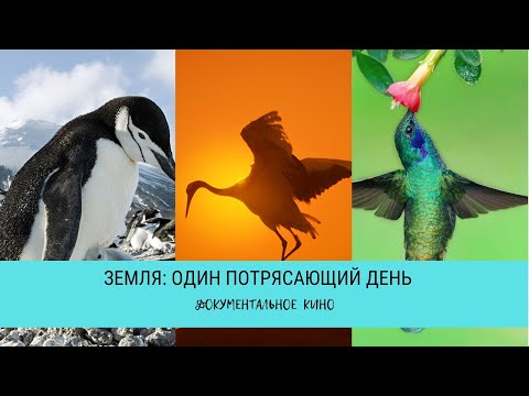 Видео: Земля: один потрясающий день / Рейтинг 8,9 / Документальный фильм (2017)