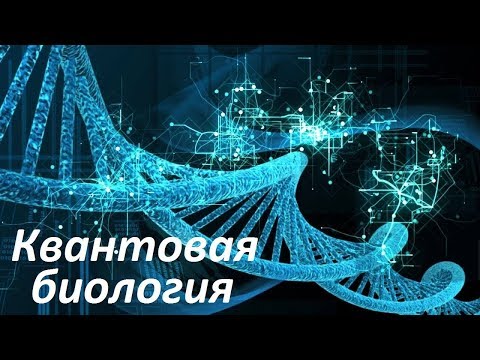 Видео: Квантовая биология | Квантовые гены живых организмов