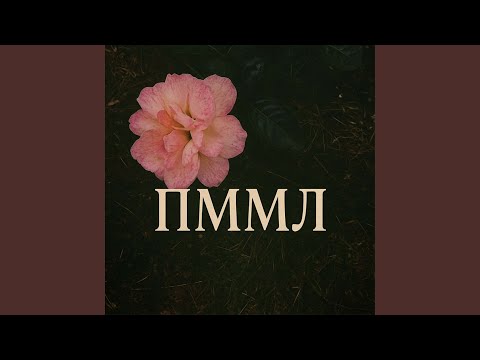 Видео: ПММЛ