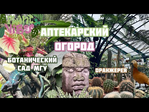 Видео: Аптекарский огород | обзор оранжереи | ботанический сад МГУ | обзор растений