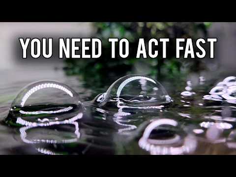 Видео: Ваш аквариум пытается вам что-то сказать