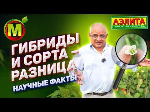 Видео: Гибриды и сорта. ТАК ВОТ В ЧЕМ РАЗНИЦА! Что лучше сажать