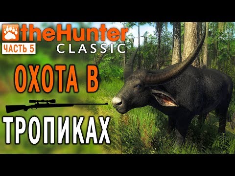 Видео: theHunter Classic #5 🐶 - Охота в Тропическом Лесу - Piccabeen Bay - СТРИМ
