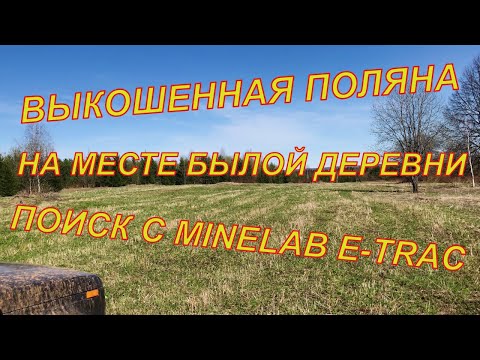Видео: Выкошенная поляна. Коп монет 2023. Поиск монет с Minelab E-Trac