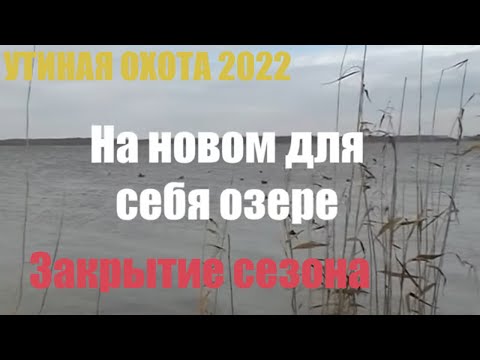 Видео: Утиная охота 2022. Экстремальное закрытие сезона
