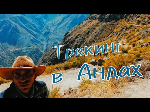 Видео: Сумасшедший трекинг! Каньон Колка. Кондоры!