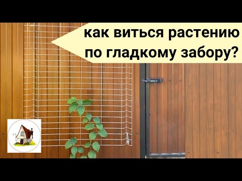 Видео: Шпалера для вьющихся растений на заборе из металлопрофиля.