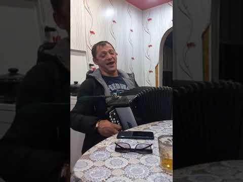Видео: Багал Забаро ко Пано