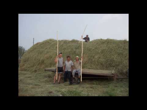 Видео: Сенокос 2019