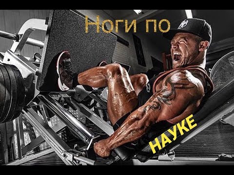 Видео: 18 РАБОЧИХ ПОДХОДОВ на НОГИ - по НАУКЕ на ГМВ