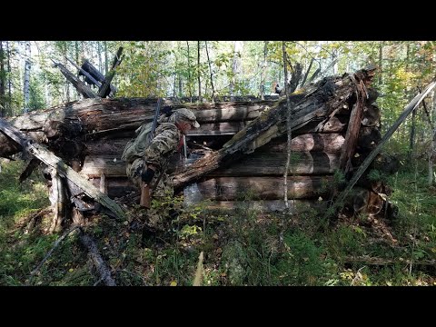 Видео: Осенняя охота.  Классический дебют.