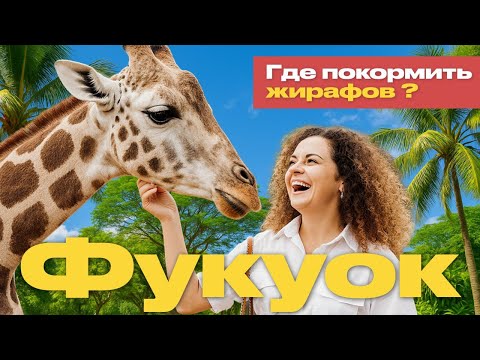 Видео: Зоопарк Сафари на Фукуоке 🦒 Кормлю жирафов и лемуров | Влог из Вьетнама
