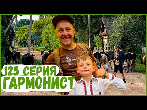 Видео: 125 серия. Гармонист. Пешком по республике.