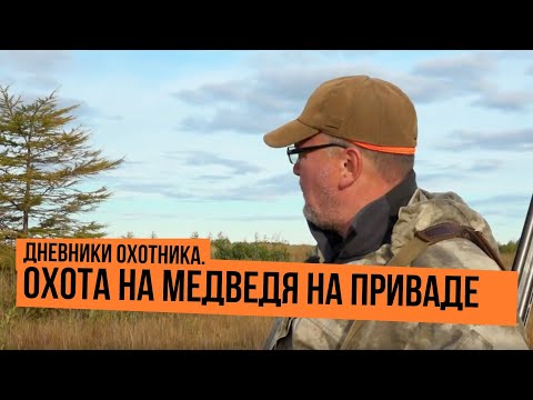 Видео: Охота на медведя на приваде \ Дневники охотника. Сезон 2