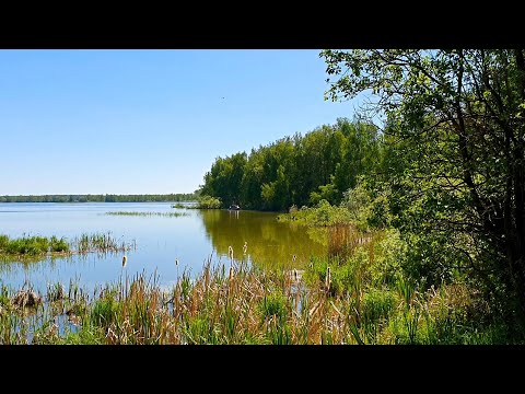 Видео: Нарские пруды
