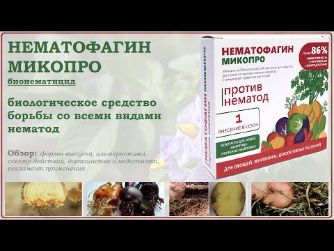 Видео: Нематофагин Микопро - лучшее биологическое средство от всех видов нематод. Обзор на нематицид