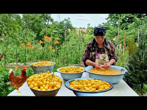 Видео: Готовим Вкуснейшее Деревенское Варенье из Белой Черешни. Вкус Деревни