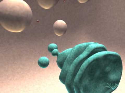 Видео: Регулируемая секреция (аппарат Гольджи)