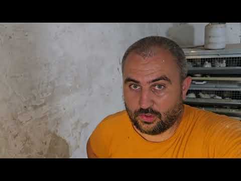 Видео: Вообще не думал что их столько выведется))Куда мне их девать?) Это жесть))