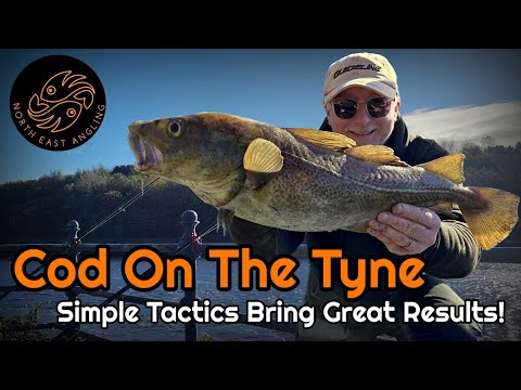 Видео: Морская рыбалка на северо-востоке | Ловля трески на реке Тайн | Эпическая сессия!