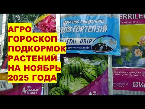 Видео: Секреты удобрений для сада в ноябре!