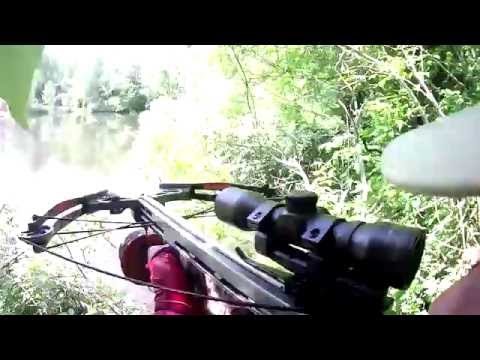 Видео: Рыбалка с арбалетом