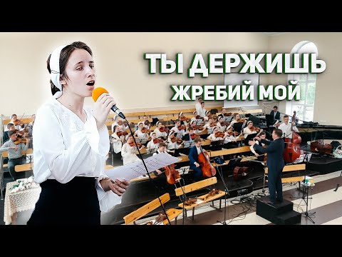 Видео: Ты держишь жребий мой || Общебратские скрипичные курсы || г.Курск 2022 || МСЦ ЕХБ ||