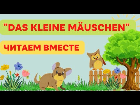 Видео: Сказка на немецком языке Das kleine Mäuschen читаем вместе, немецкая лексика.