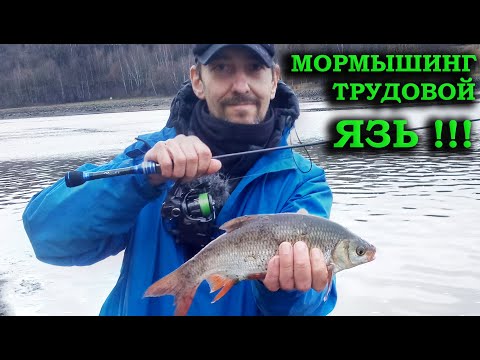 Видео: МОРМЫШИНГ. CLEAR BLUE Crystar 56 Finder и ЯЗЬ.