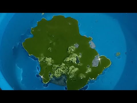 Видео: 🪩ЧИСТКА СОЛНЕЧНОГО СПЛЕТЕНИЯ🧚‍♀️1Й И 2Й ЧАКРЫ💯ВОЗВРАТ РЕСУРСОВ🧚‍♀️ЗАЩИТА🛡🧿⚖️🏆