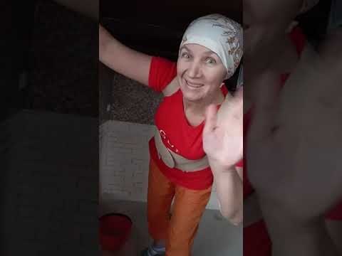 Видео: Монстера. Аквариум. Кошкин дом. Октябрь-ноябрь 2024